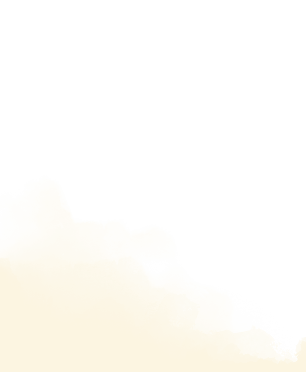 Hauskatze wir vom Mensch liebevoll gestreichelt – Bestattungen mit Herz, Tierbestattung