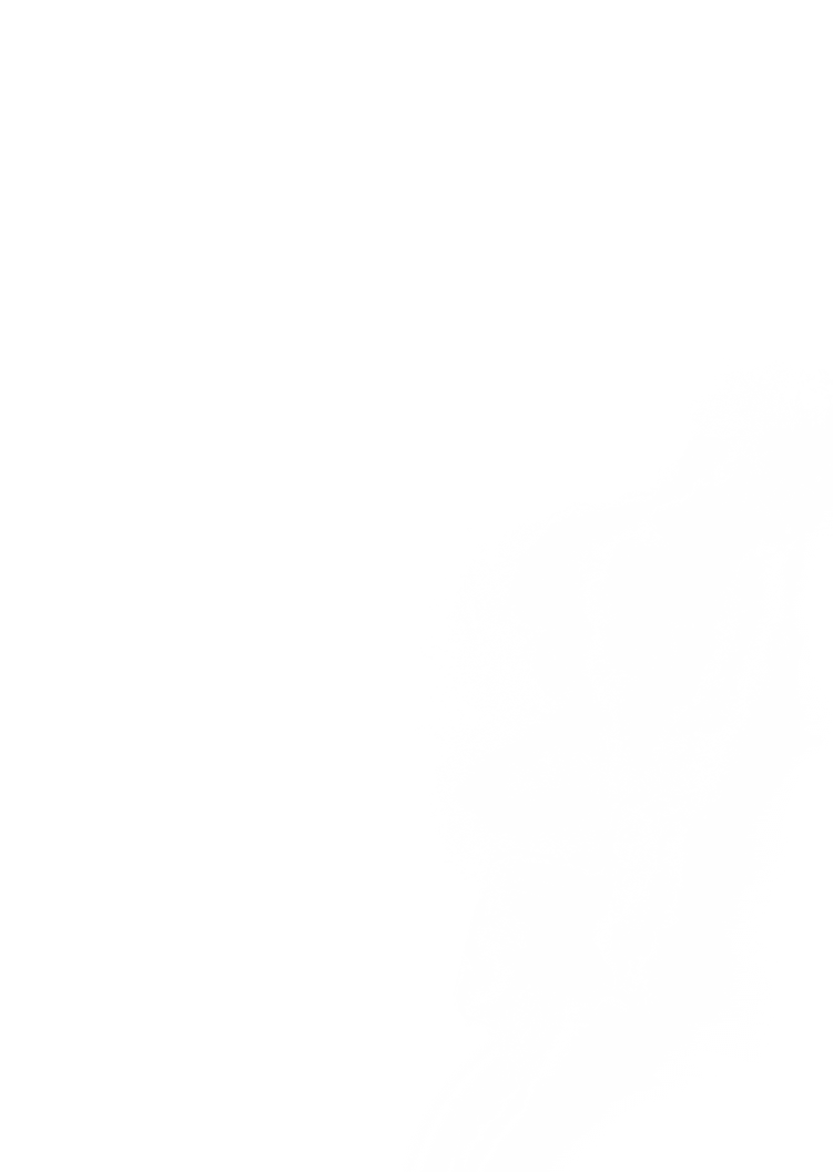 Erinnerungsschmuck aus Ache und Haaren – Bestattungen mit Herz